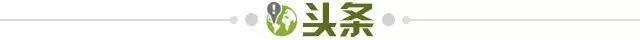eeadfa6d-4031-469c-8242-df02f45ecf07.jpg@!img01
